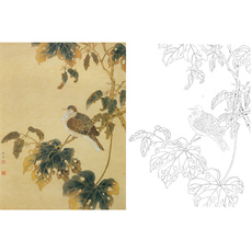 Картина 工笔画白描底稿实物勾线打印稿陈之佛桐枝栖鸠66*88含彩图281t