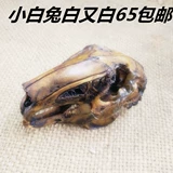 Череп, образец, кролик, подвеска, декор, форма