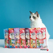 Fei nhận nhà CIAO Inaba lỏng bổ sung thu huyên thuyên mèo ăn nhẹ dinh dưỡng dán sốt để milkshake lỏng nhí chirp 4
