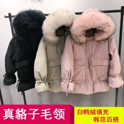 Áo khoác chống mùa cho phụ nữ dài phần giải phóng mặt bằng đặc biệt ưu đãi phiên bản Hàn Quốc thả lỏng cổ áo lông lớn 2018 vịt trắng mới xuống - Xuống áo khoác