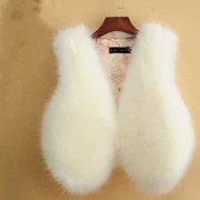 Áo khoác lông lông thú nữ ngắn phiên bản Hàn Quốc 2018 mùa đông hoang dã áo khoác lông dày lông chồn