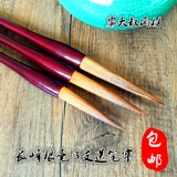 Четыре сокровища эссе ручки, каллиграфия книги, книга Wolf Wolf Wolf Wolf, курсивный директор The Wolf Wolf Slim Golden Hook