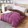 Màu sắc dày san hô chăn quilt đơn mảnh đôi mùa đông nhung chăn sang trọng ấm áp sinh viên đơn đôi - Quilt Covers chăn ga forever