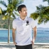 Áo thun nam ngắn tay trung niên nam thêu cotton ve áo polo nam màu rắn kinh doanh cha mùa hè cha áo thun - Polo store t shirt Polo