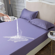 Giường chống thấm nước tấm bạt lò xo bìa tiết niệu máy thở có thể giặt ve giường scorpion cotton bông Simmons nệm bìa