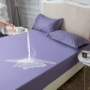 Giường chống thấm nước tấm bạt lò xo bìa tiết niệu máy thở có thể giặt ve giường scorpion cotton bông Simmons nệm bìa Ga phủ giường