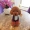 Mô phỏng Teddy Dog Doll Đồ chơi sang trọng VIP Dog Doll Ragdo Dễ thương Gối Quà tặng Cô gái - Đồ chơi mềm