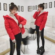 Mùa thu và mùa đông phụ nữ mới của phần ngắn cotton quần áo Hàn Quốc phiên bản của trùm đầu hoang dã xuống bông pad bông nhỏ áo khoác kích thước lớn bánh mì quần áo ngắn áo