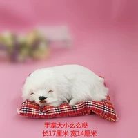 Маленькая спящая собака белая (желтый рот)