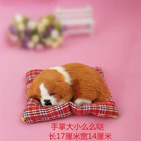 Маленькая спящая собака Хуан Бай