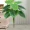 Mô phỏng nhỏ giọt Guanyin xanh củ cải giả trong phòng khách sàn trang trí xanh trồng cây giàu có cây cảnh hoa nhựa - Hoa nhân tạo / Cây / Trái cây