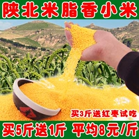 2020 Новый рис Желтый Xiaomi Shaanxi xiaolong Rice Yan'an Barcense xiaomi Ciprement Miqian Rice Babies Auxiliary Food 500G