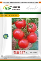 Каменный щит 197 100 зерна [каменный помидор]