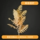 Цвет шампанского Cypress/Support
