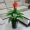 Mô phỏng cây tài lộc cây hoa giả phòng khách cây giả sàn lớn hoa nhựa chậu hoa xem chậu trang trí - Hoa nhân tạo / Cây / Trái cây