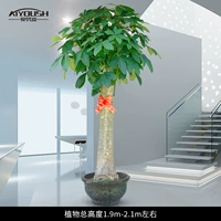 1,9-2,1 метра супер большие [оригинальный бассейн, как показано на рисунке] ограничено тем же городом