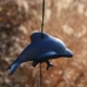 Синий дельфин