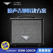 Durand DSW100CR Loa Guitar Acoustic Hộp Guitar Guitar Ballad Chơi Loa âm thanh gốc - Loa loa