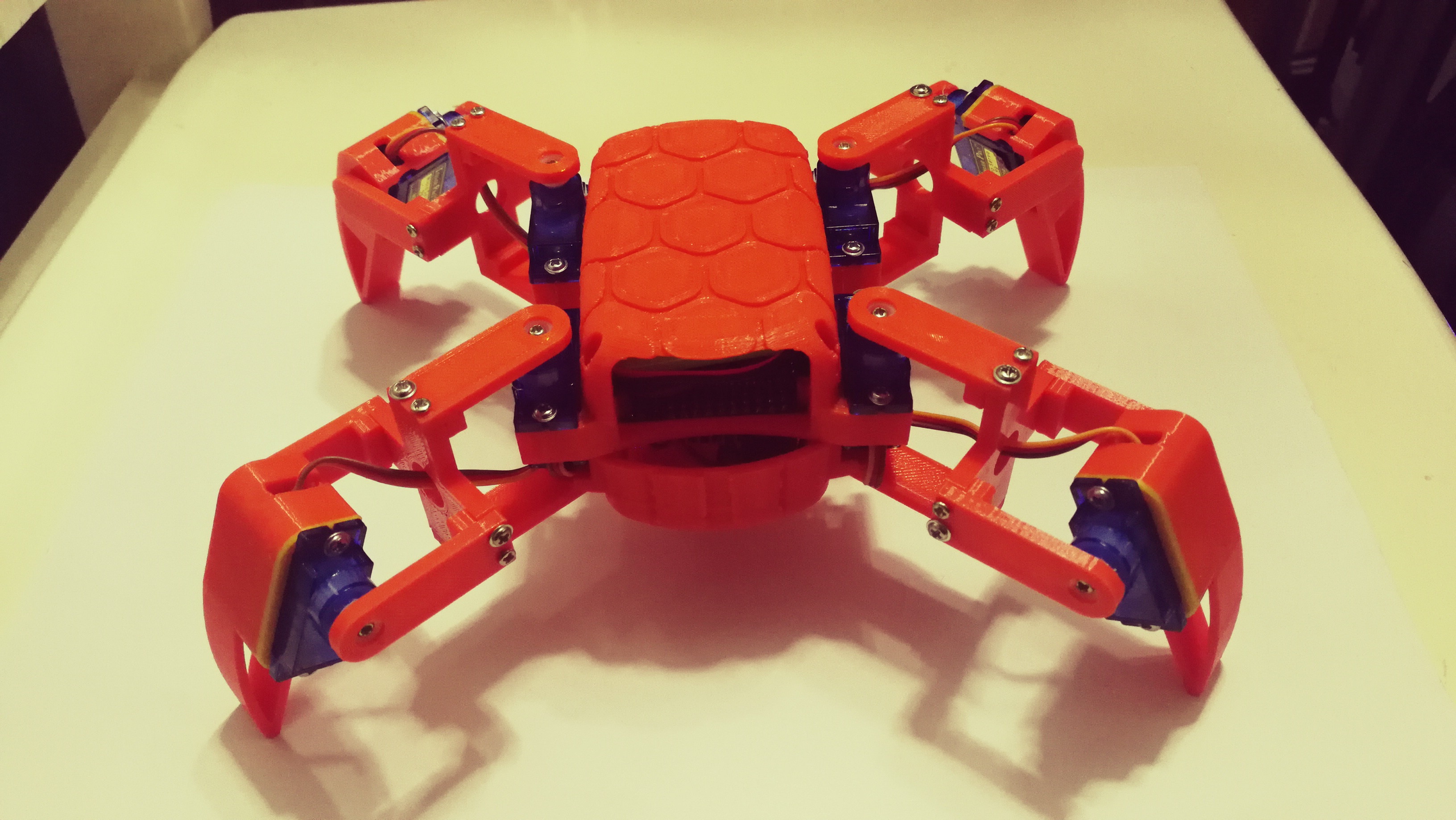 quadruped spider robot