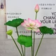 cây lựu giả Mô phỏng hoa sen giả hoa sen mô phỏng hoa nhựa hoa sen lá sen ao cá trang trí trang trí phòng khách cảnh quan cảnh quan cây xanh hoa hồng giả