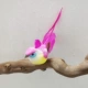 Цветная птица (случайный цвет)