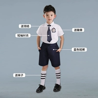 Рубашка, шорты, галстук, значок, носки, мужской стиль