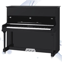 Новый UP121 Piano Special Promotion Продвигает умные покупатели выбора фортепиано Пятнадцать золотая медаль старый магазин