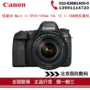 Canon Canon EOS 6D Mark II EF 24-105mm f 4L IS II USM SLR - SLR kỹ thuật số chuyên nghiệp máy ảnh chống nước