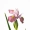 Hoa giả cao cấp mô phỏng hoa giả Alice PU cảm giác hoa nhân tạo hoa nhân tạo trang trí phòng khách - Trang trí nội thất trang trí sân thượng