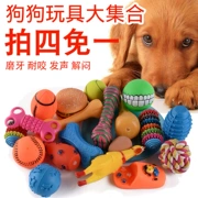 Pet puppy dog ​​đồ chơi bóng vocal mol cắn đào tạo Teddy bear puppies mèo và chó đồ chơi pet nguồn cung cấp