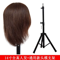 Quanzhenfa 14 -кишковой коричневый цвет + толстый кронштейн