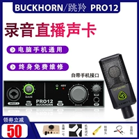 Buckhorn/Jumping Ling Ling Live Live Sound Card Computer Mobile General Package Trial Anchor k Song Recording Equipment