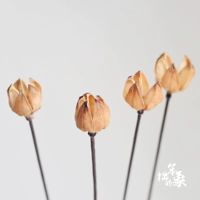 Луошен фрукты сушеные цветок Zhenhua Art натуральный сухой фруктовый литература и артистическая маленькая свежая вечная цветочная гостиная стреляет в реквизит маленький сухой цветок