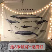 Nordic INS cá voi phòng ngủ cạnh giường ngủ trang trí tường tấm thảm treo tường khăn trải bàn vải ký túc xá tấm thảm nền vải - Tapestry