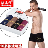 4 món quà đóng hộp đồ lót nam boxer cotton 100% cotton thể thao thoáng khí trẻ trung eo giữa bốn góc phiên bản Hàn Quốc quần lót nữ đẹp