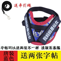 Синяя тетрадь с поводком