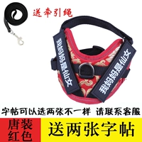 Красная тетрадь с поводком