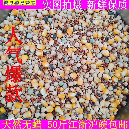 Gan Liangde Yi -класс -голубь зерно с кукурузной питанием Flying Fly Feed Наблюдение за голубь едой. 50 фунтов бесплатной доставки