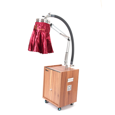 0明火无烟艾灸仪器美容院家用立式艾炙盒温灸悬灸器具_品折惠