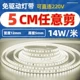 Монохромный двойной белый свет 5 см можно отрезать 240 Beadered Back Glue 11 Yuan/Meter