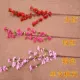 Криптинг 6 персиковых цветов [цветные замечания]