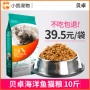 Beizhuo mèo thực phẩm 10 kg 5 kg kg cá biển hương vị 20 vào mèo đi lạc thức ăn cho mèo mèo cũ thực phẩm chủ yếu thực phẩm anf cho mèo