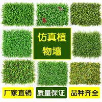 Cây xanh tường mô phỏng cây tường trang trí nội thất sân cỏ nhựa giả cỏ nền hoa tường màu xanh lá cây treo tường - Hoa nhân tạo / Cây / Trái cây cây xương rồng giả