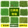 Cây xanh tường mô phỏng cây tường trang trí nội thất sân cỏ nhựa giả cỏ nền hoa tường màu xanh lá cây treo tường - Hoa nhân tạo / Cây / Trái cây cây xương rồng giả