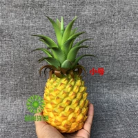 Зрелый ананасовый ананас-тримпут