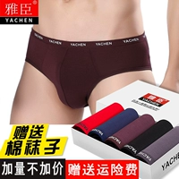 5 người đàn ông đồ lót nam tóm tắt phương thức đàn hồi bông eo thanh niên breathable sexy chàng trai đồ lót 衩 quần sịp con voi