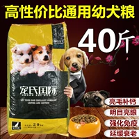 Pets International Dog Food Pupgie 20 kg Teddy Labrador Người chăn cừu cổ Schnauzer Samoyed 40 kg Universal - Chó Staples thức ăn cho chó cảnh