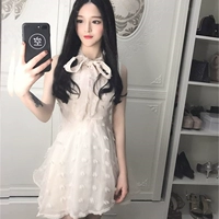 Mùa xuân phụ nữ mới Hàn Quốc ngọt công chúa cao eo một từ váy khí quai cung tay đầm thủy triều mẫu váy suông chữ a