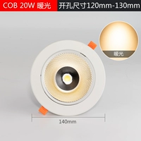 20 Вт [теплый свет 3000K] Покачка