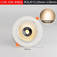 20 Вт [Нейтральный свет 4000K] Покачка